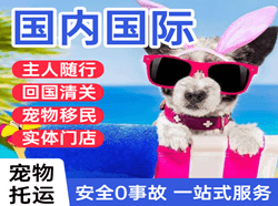 博乐阿拉山口机场快递国际宠物托运 【国